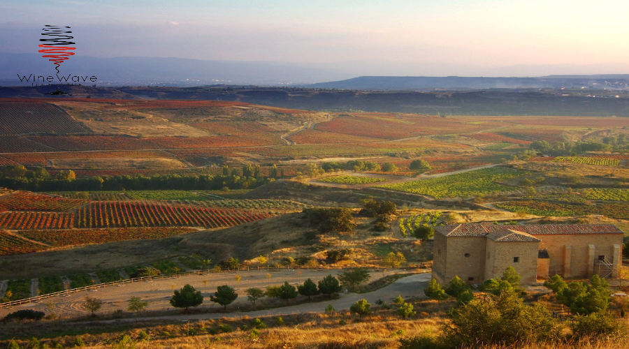 Thung lũng sông Ebro và Duero nơi trồng trọt nho lớn tại Tây Ban Nha