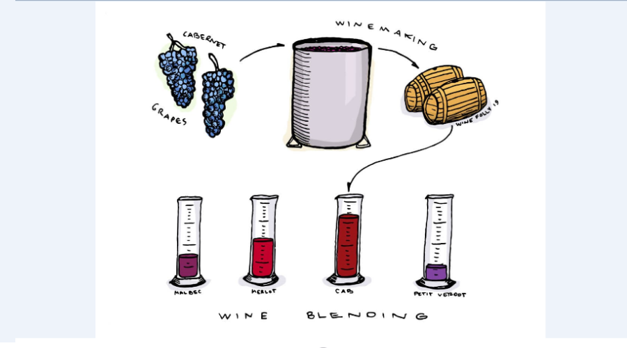 Kỹ Thuật Phối Trộn Rượu truyền thống được dùng làm tiêu chuẩn sản xuất rượu vang đến ngày nay