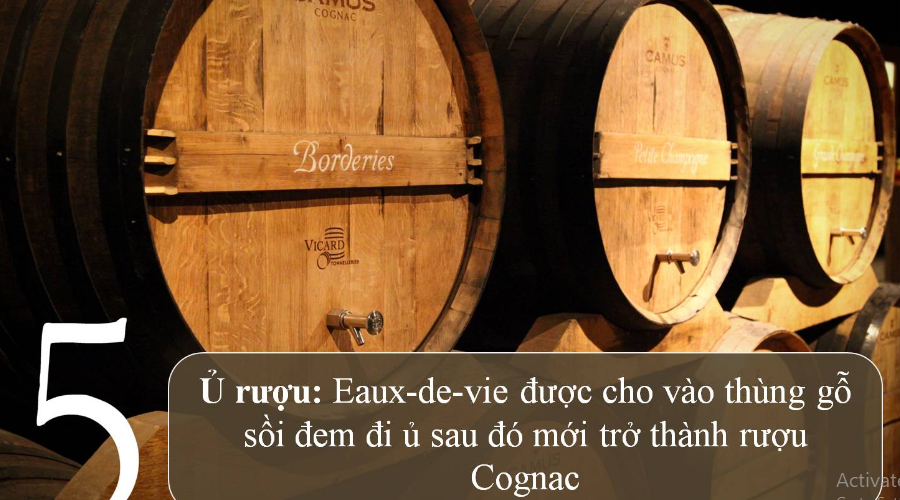 Rượu được ủ trong thùng gỗ sồi nên mang hương vị đặc trưng của gỗ sồi