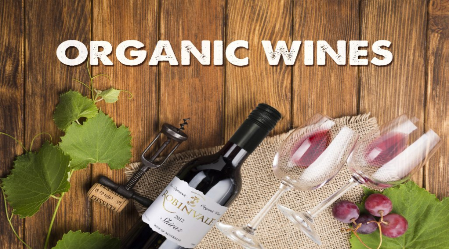 Rượu vang hữu cơ thành xu hướng sản xuất rượu vang trên thế giới